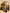 iCandy-LuxTravelCouple-Cabo-9