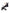 iCandy_Pip_Latte_Image_4