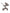 Anex Flow Kinderwagen 2in1 - Yuki