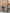 zwart – walnut 3